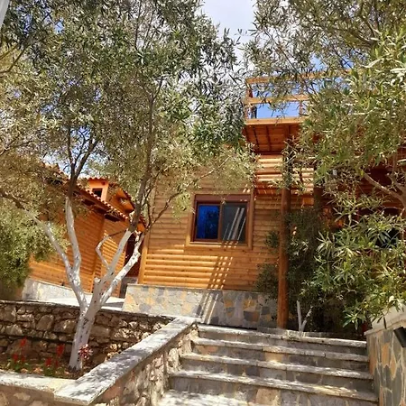 Skenderi * ساراندا